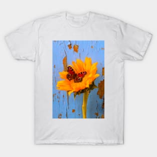 Butterfly Resting On Sunflower With Blue Wall T-Shirt